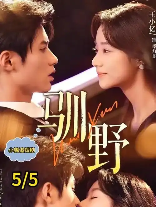 都市情感剧《长街拾光》热播电视剧全集